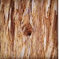 WOODY PERFUME'S